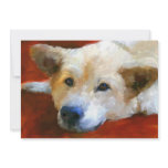 White German Shepherd Dog 5x7 Mini Prints invitations