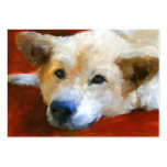 White German Shepherd Dog ACEO Art Trading Cards business cards