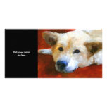 White German Shepherd Dog Collectable Photo Card photo cards
