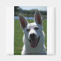 White German Shepherd Magnets