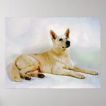 White-German-Shepherd Print