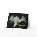 White Ginger Thank You Card