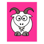 White Goat selection Post Card
