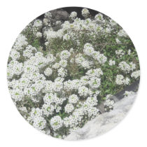 White Ground Cover Sticker