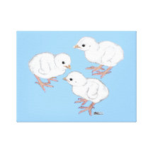 White Guinea Keets Gallery Wrap Canvas