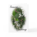 White Hardenbergia Christmas Card