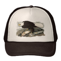 White Headed Eagle by John James Audubon 1829 Mesh Hats