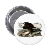 White Headed Eagle by John James Audubon Pin