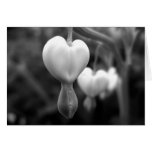 White Heart Sympathy Card