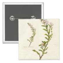 White Heather Button