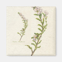 White Heather Fridge Magnet