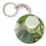 White Hellebore Flower Bud keychains