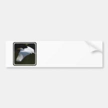 White Heron Bumper Sticker