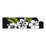 White hibiscus and leaves