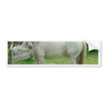White Horse Bumper Sticker