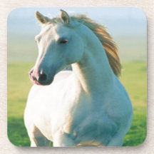 White Horse Coasters