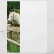 White Horse in Paddock Flyers
