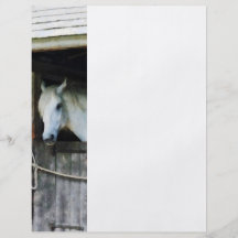 White Horse in Stable Personalized Flyer