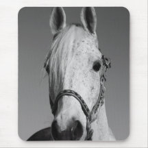 White Horse Mousepad