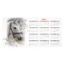 White Horse Portrait Calendar Photo Cards