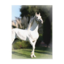 White Horse Postcard