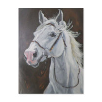 White Horse Post Card