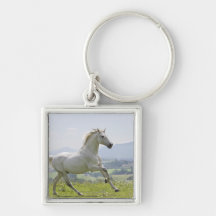 white horse running on meadow key chains