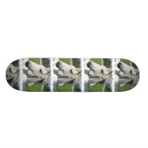 White Horse Skateboard