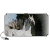 White Horse Speakers