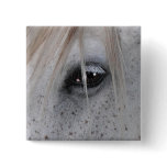 White Horse's Eye Equine Photography Pinback Button