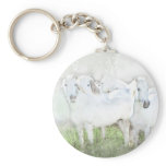 White Horses keychains