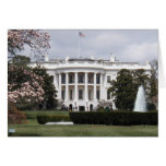 White house cards