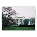 White House with Cherry Blossoms  cards