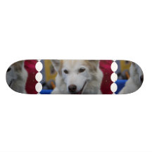 White Husky Skateboard