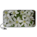 White Hyacinth Flower Speakers
