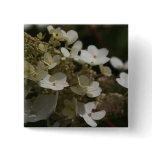 White Hydrangea Pin