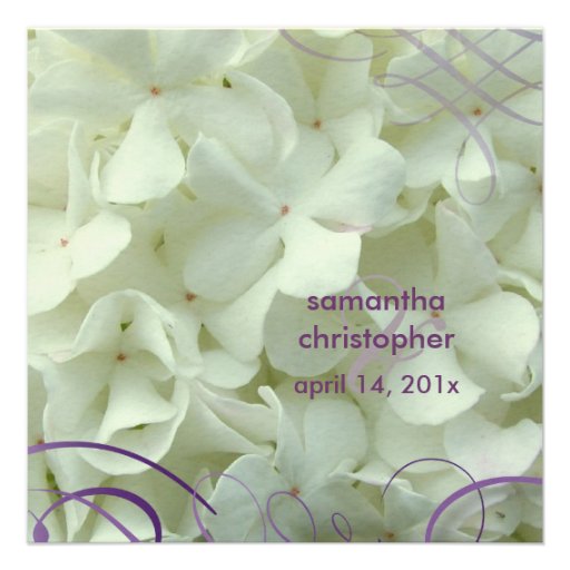 White hydrangea/romantic wedding invitations White hydrangea/romantic wedding invitations