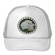 White Hydrangeas Baseball Hat