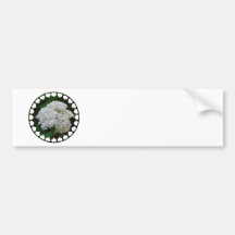 White Hydrangeas Bumper Stickers