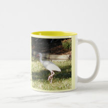 White Ibis Coffee Mug