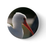 White ibis head picture , orange beak bird buttons