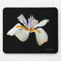 White Iris Mousepad
