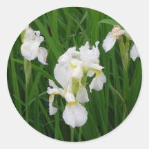 white iris round sticker
