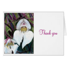 White iris, Thank you Greeting Cards
