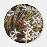 white Ixora macrothyrsa flowers Refrigerator Magnet