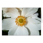 White "Japanese Anemone" Card