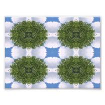 White Kaleidoscope 1 Art Photo