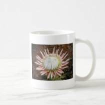 white King protea (Protea cynaroides) flowers mugs
