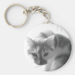White Kitty Cat/Black & White Photo Key Chains