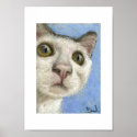 White kitty print